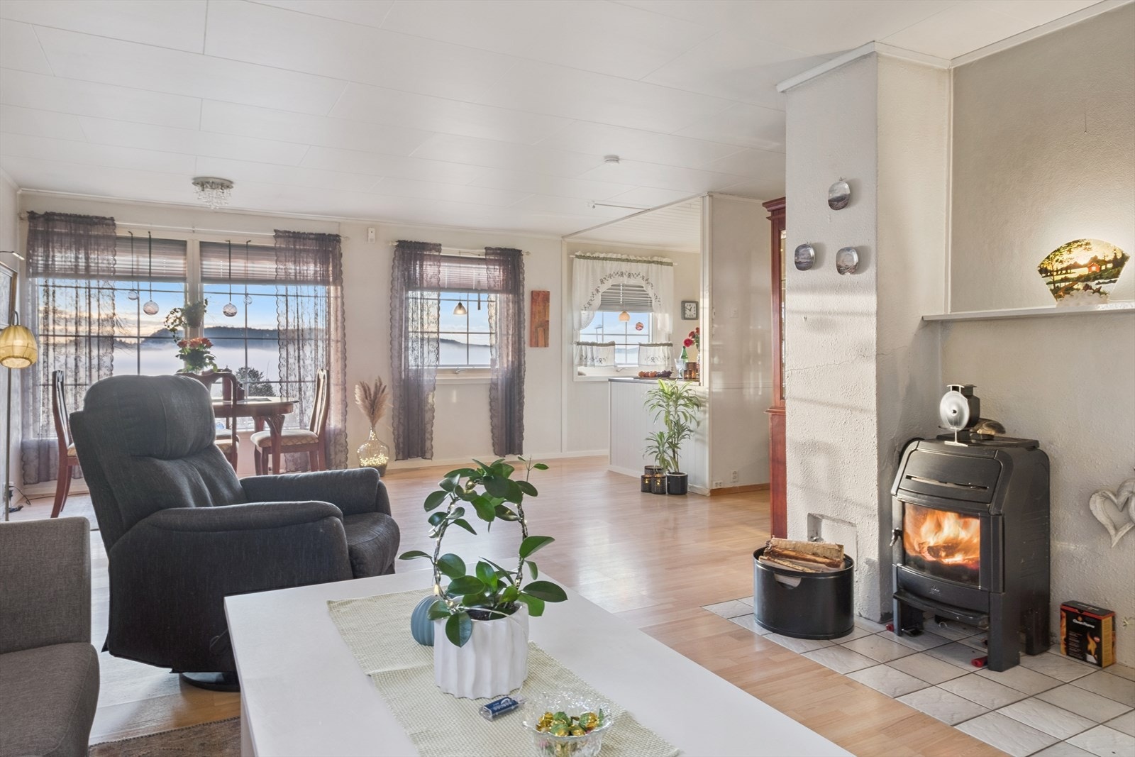 Muligheter for vedfyring. Galleribilde