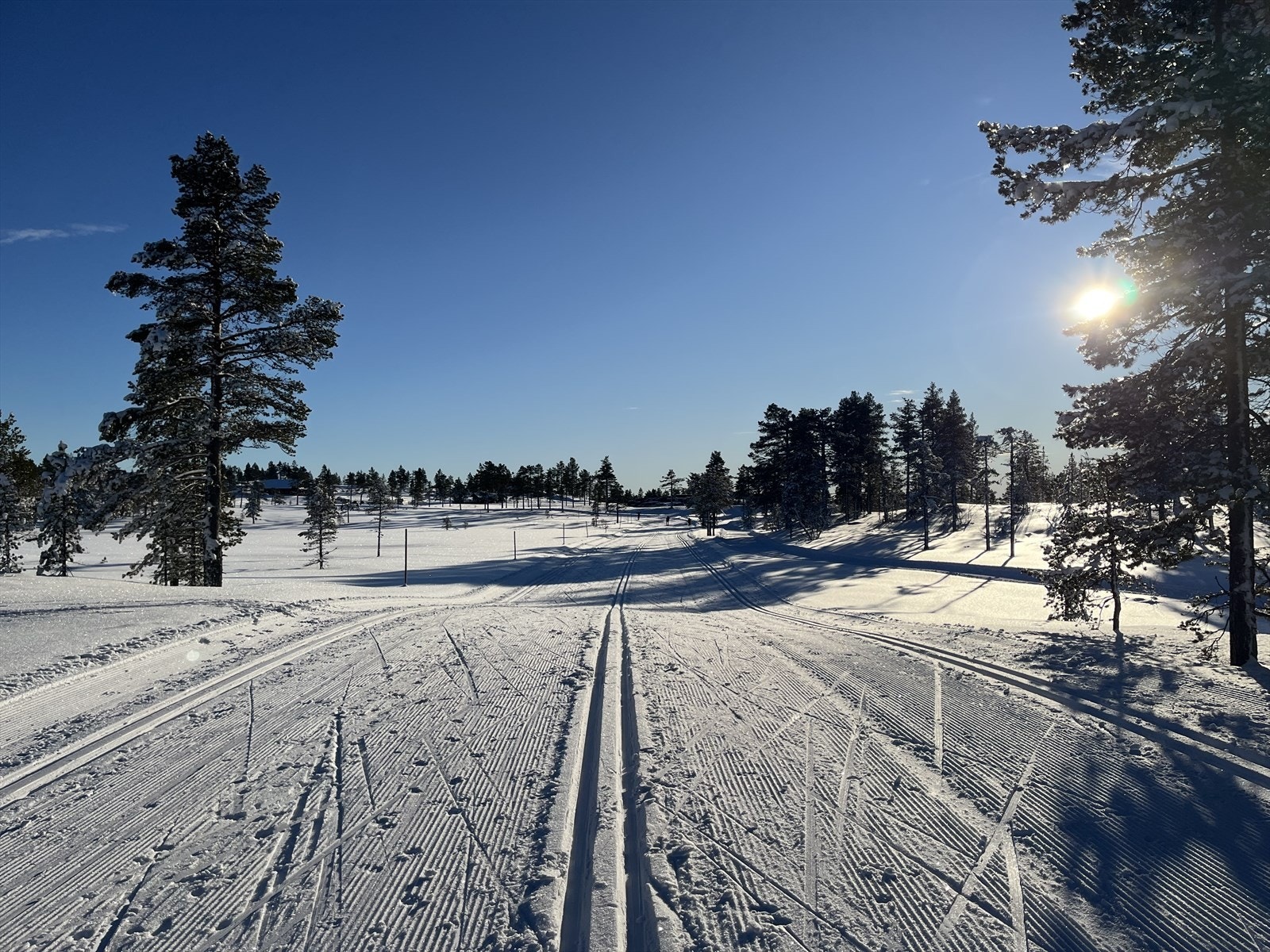 Fra parkeringsplassen på Ble-Høgda er det flotte oppkjørte løyper forbi hytta - flatt og bredt Galleribilde