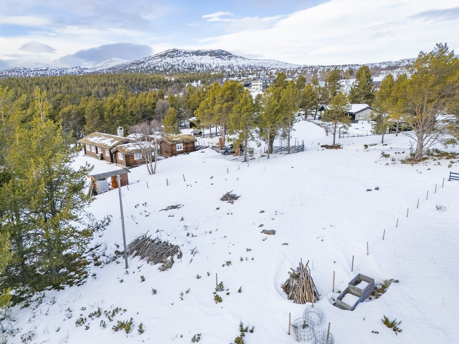 Flat til lett skrånende tomt på ca 812 kvm. Galleribilde