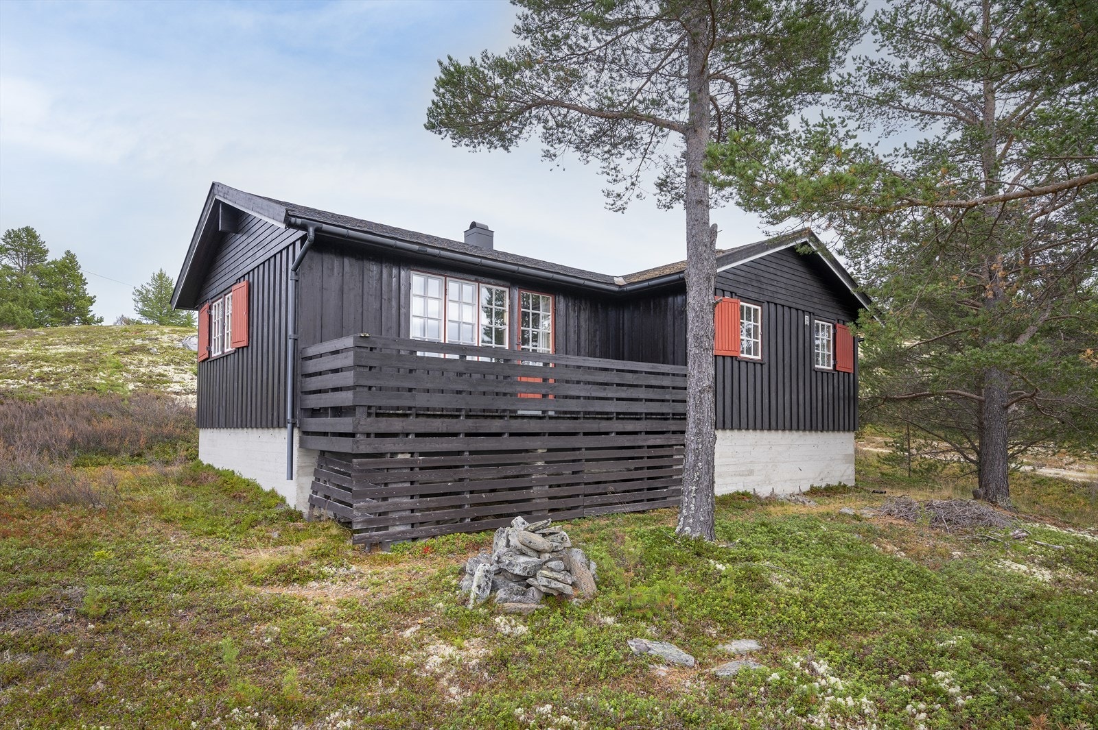 Hytta ligger på en selveid naturtomt med lyng, trær og busker. Galleribilde