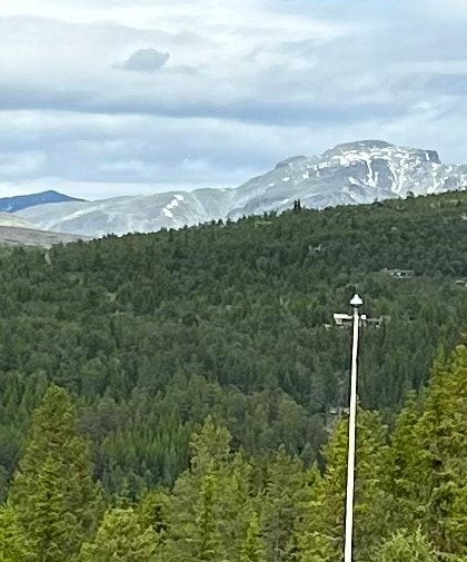 Velkommen til visning! Galleribilde