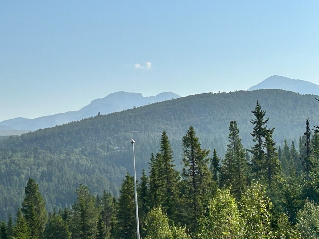 Selgers egne bilder Galleribilde