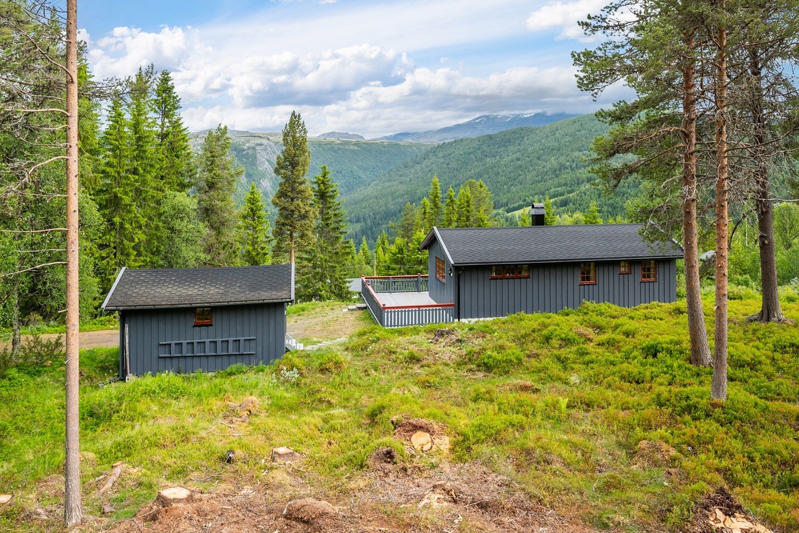 Eiendommen fra 1982 består av hytte og uthus. Galleribilde