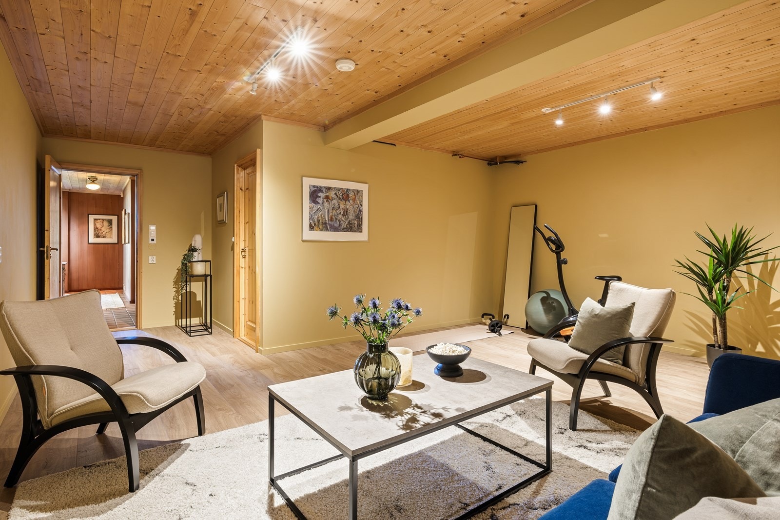 Kombinert treningsrom og stue Galleribilde