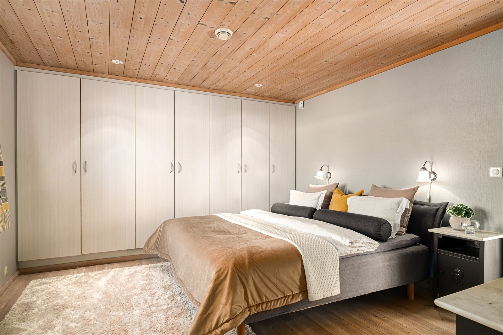 Plassbygde skap Galleribilde