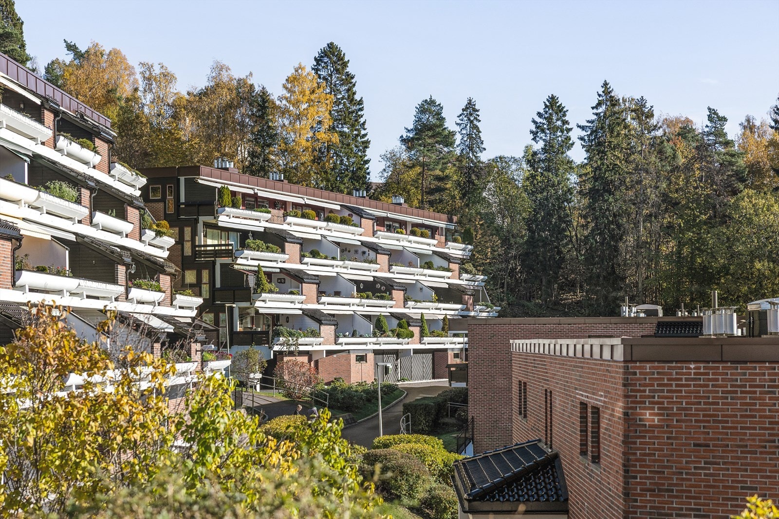 Fasade. Galleribilde