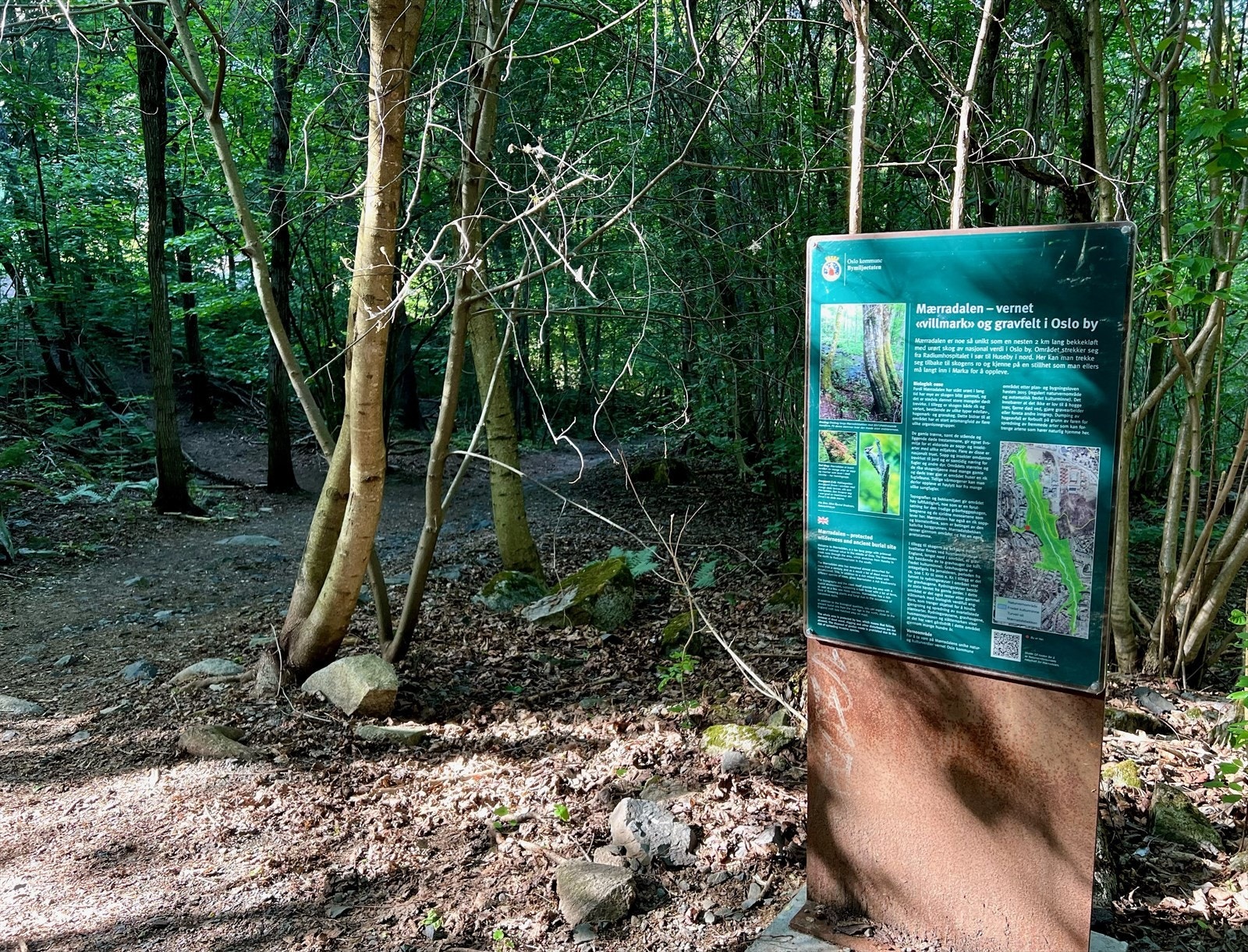 Områdebilde. Galleribilde