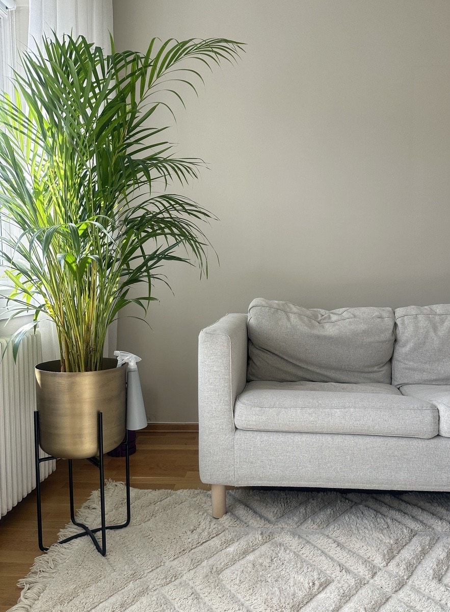 Meget sentralt men rolig Galleribilde