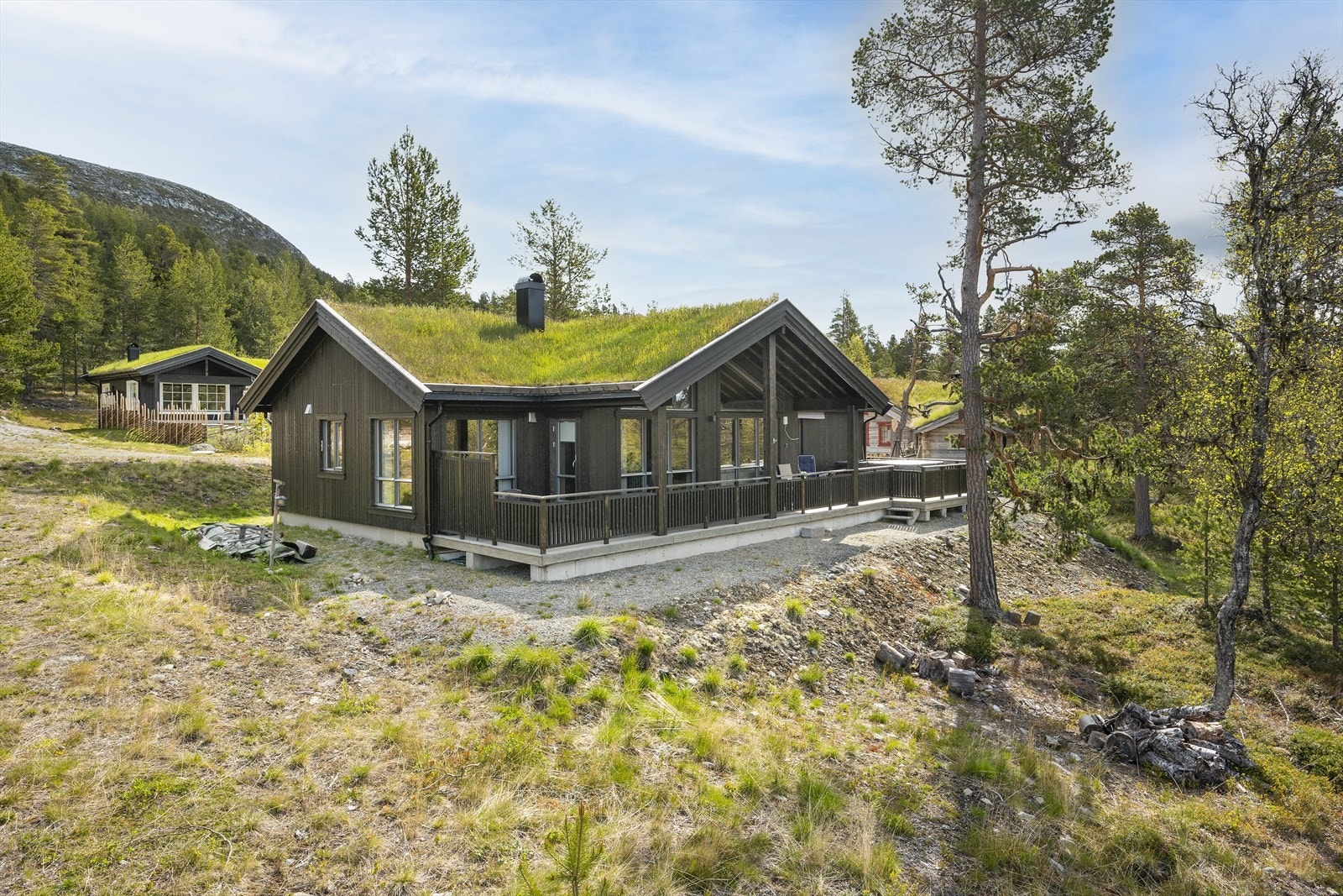 Tomten er omkranset av spredte trær og busker. Galleribilde