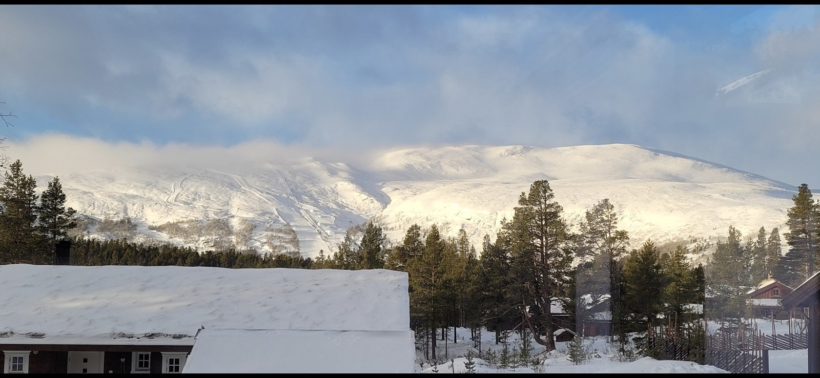 (Selgers bilde) Galleribilde