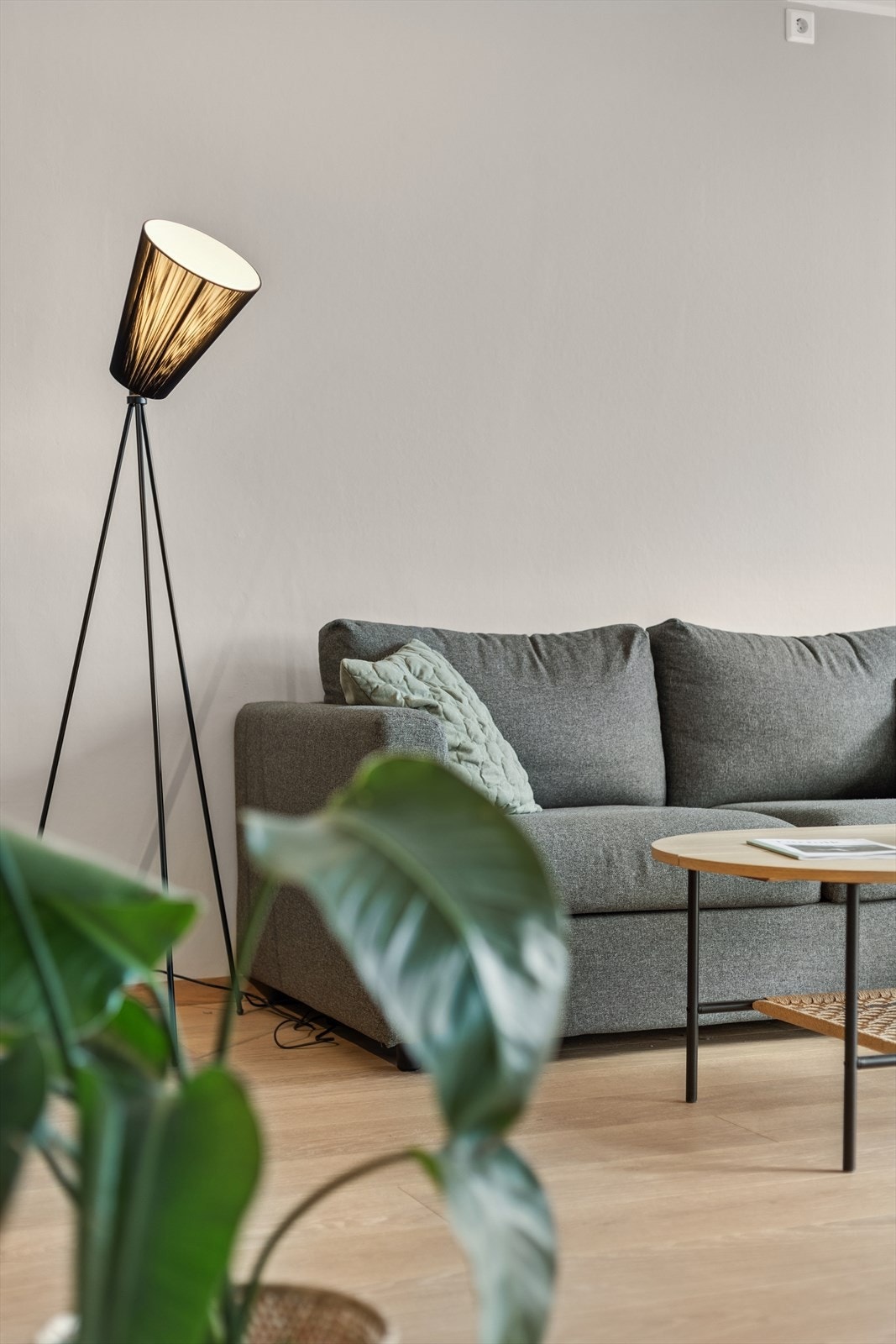 Gulvene er belagt med parkett, og veggene består av malte overflater. Galleribilde