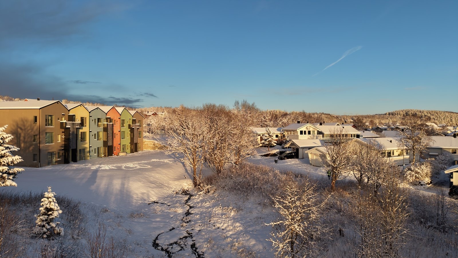 Området er veletablert og består i hovedsak av eneboliger, rekkehus og studentboliger Galleribilde