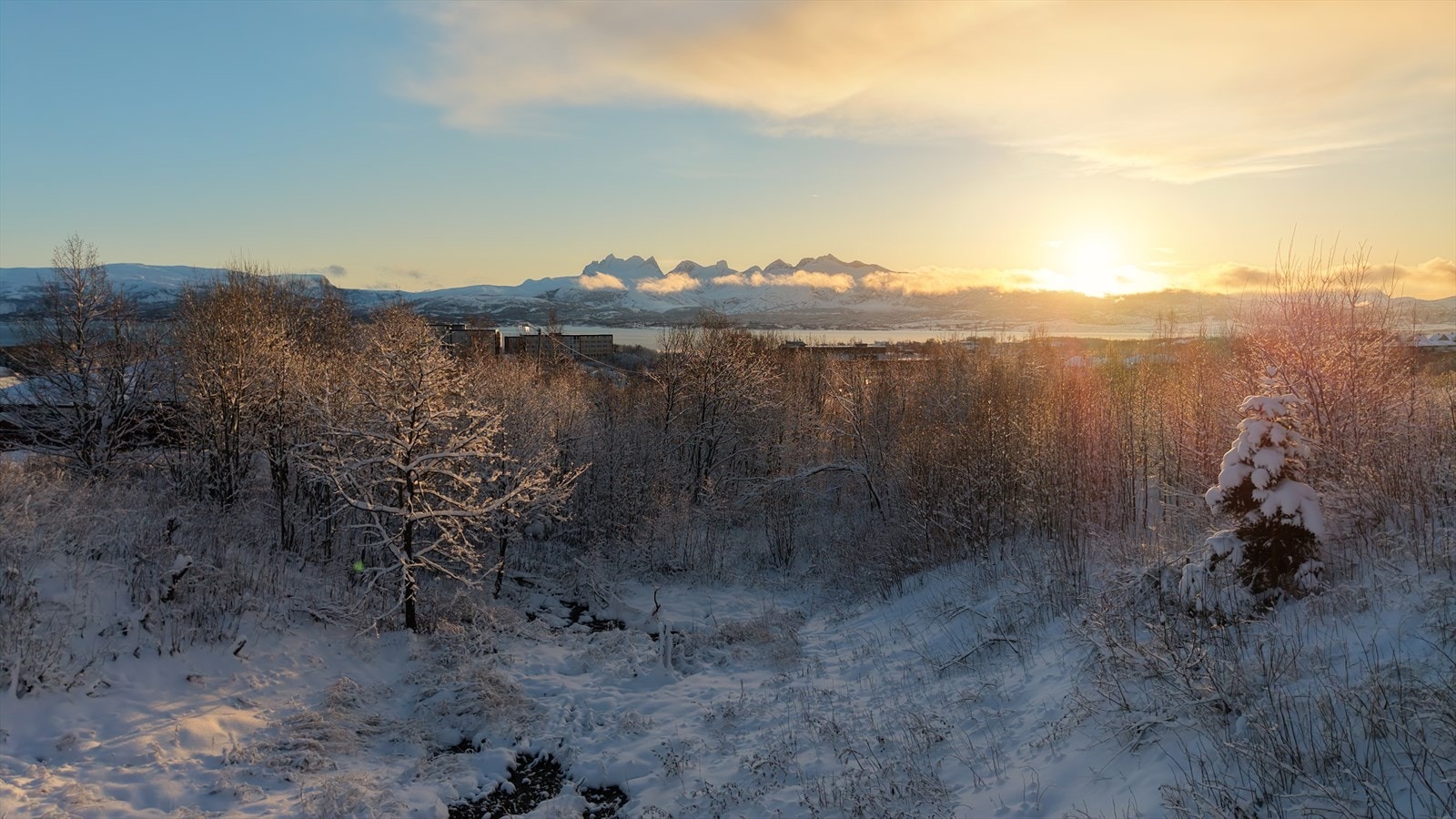 Avhengig av plassering og utforming kan en også få flott utsikt over Børvasstindan Galleribilde