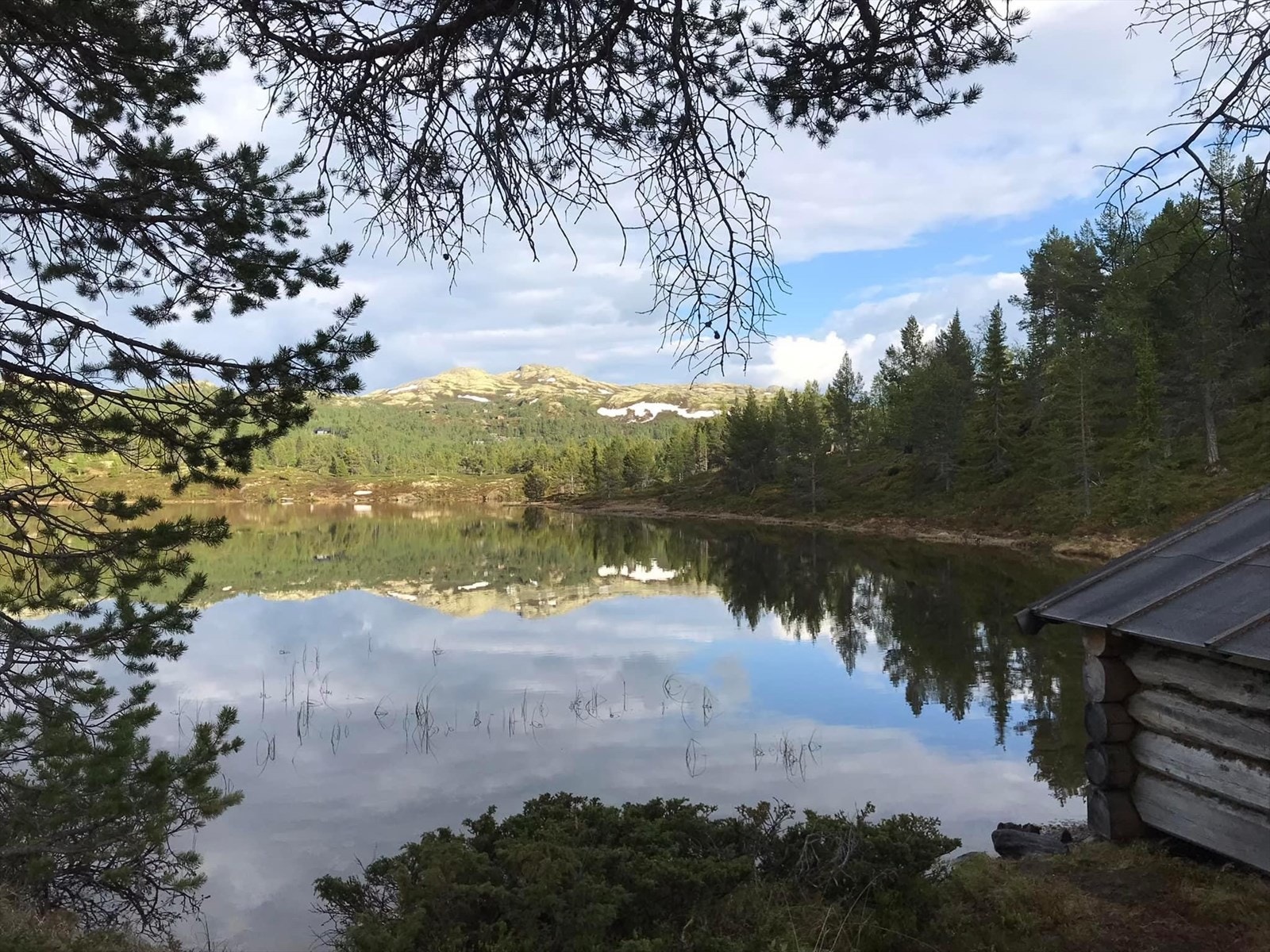 Områdebilde - Nedre Raphamntjønn. En spasertur på ca. 10 minutter fra hytten. Galleribilde