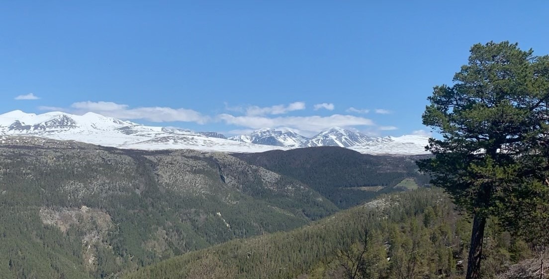 Områdebilde Galleribilde