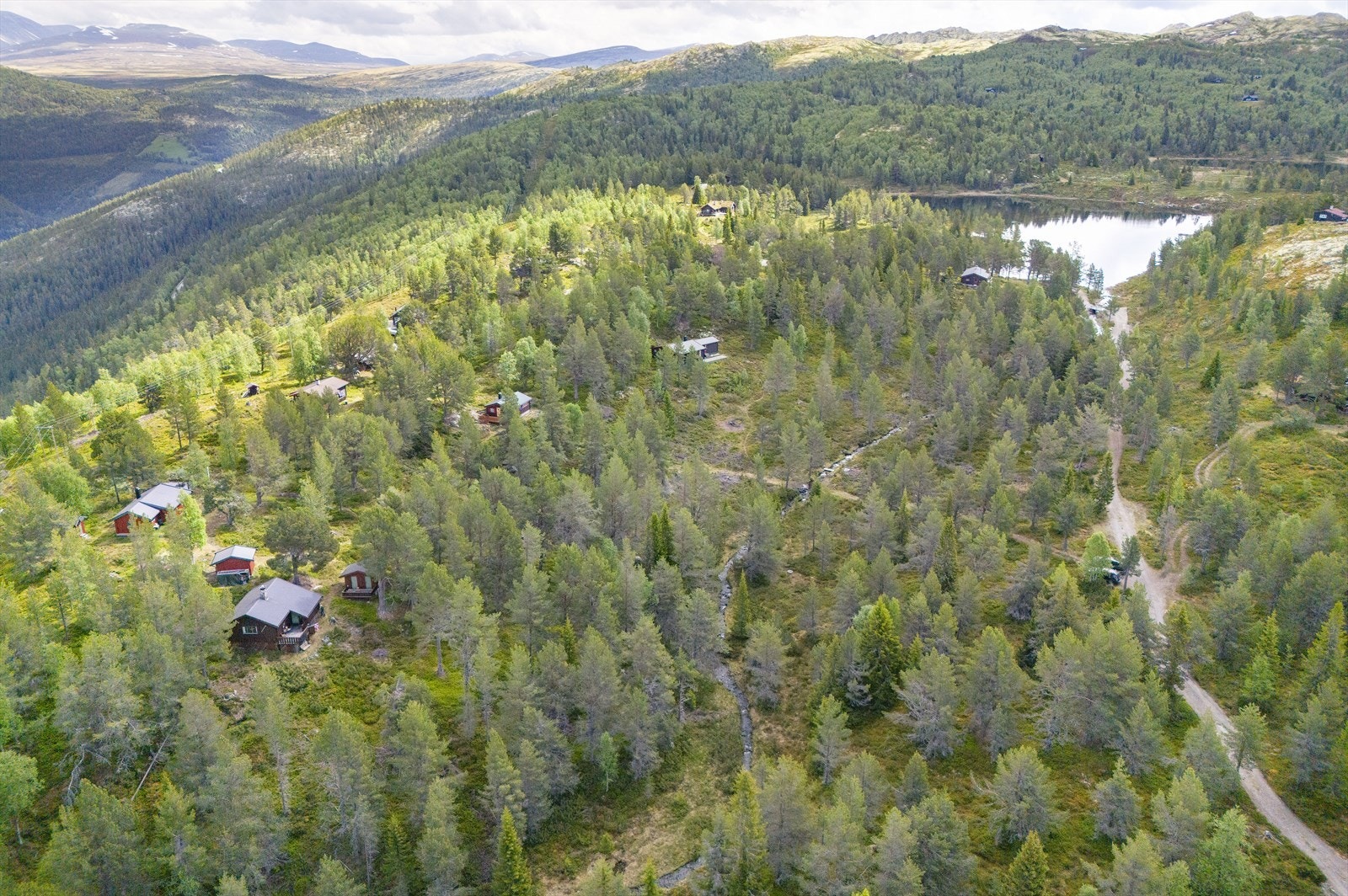 Velkommen til visning! Husk å melde deg på. Galleribilde