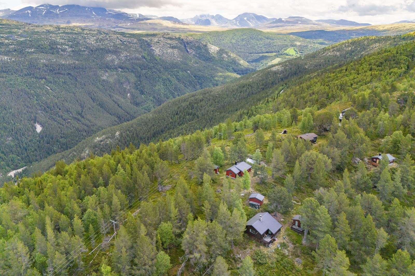 I dette kuperte området ligger små idylliske fjellvatn omkranset av lyng- og moserabber og spredt fjellskog dominert i hovedsak av bjørk og furu. Galleribilde