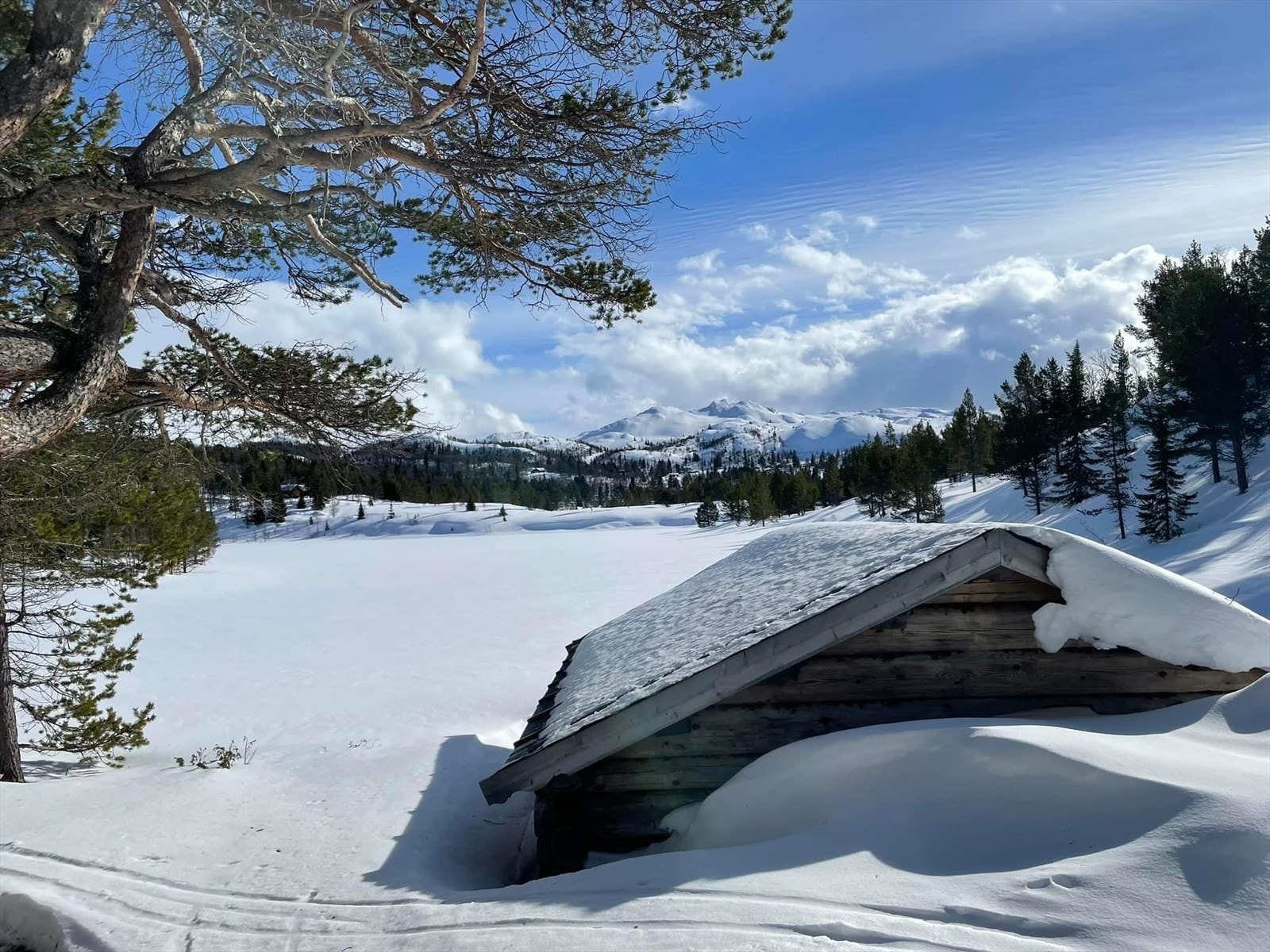 Områdebilde Galleribilde