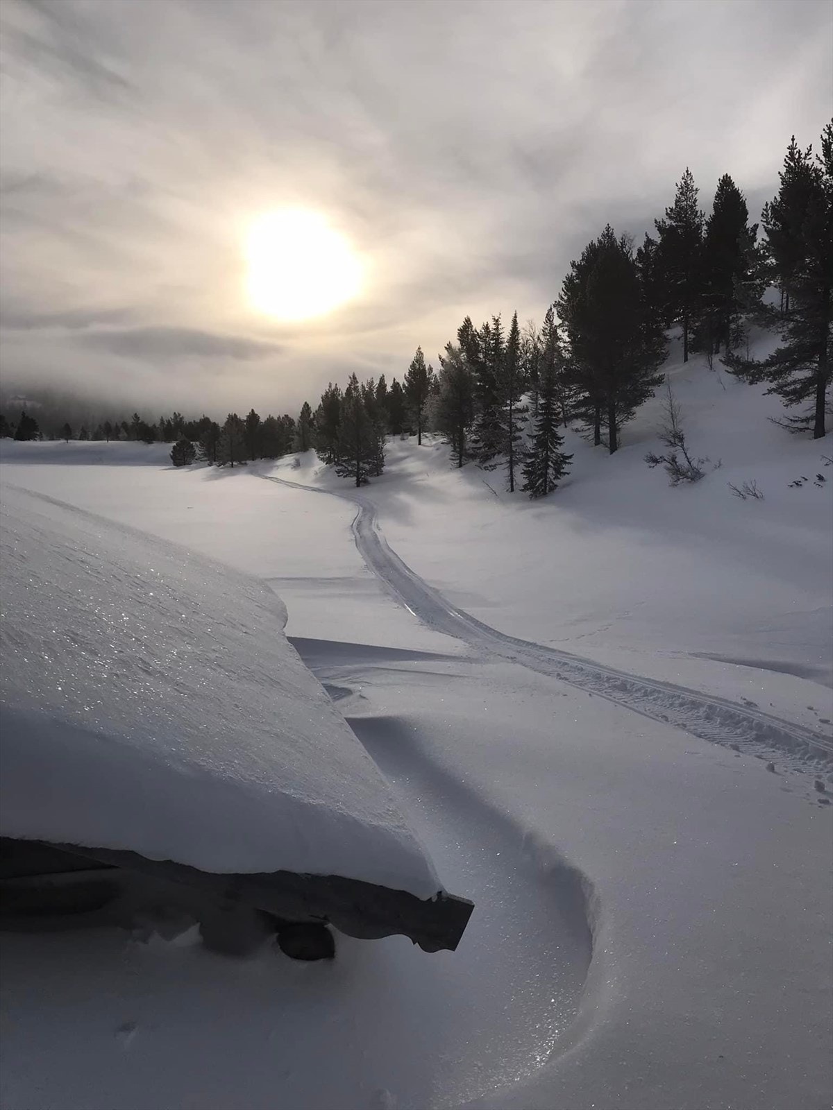 Områdebilde Galleribilde