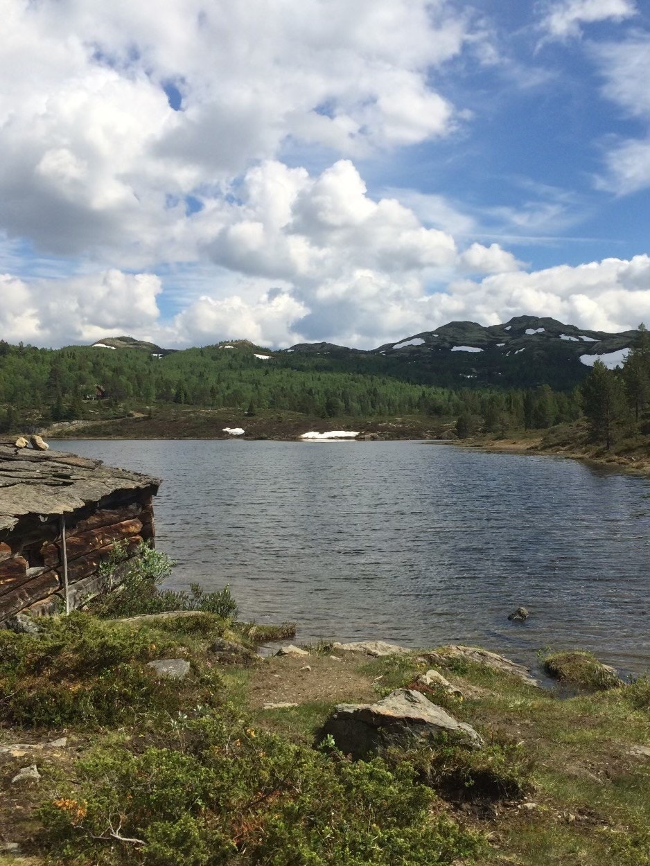Her er det mulighet for bading, fisking, og ut på vannet i båt. Galleribilde