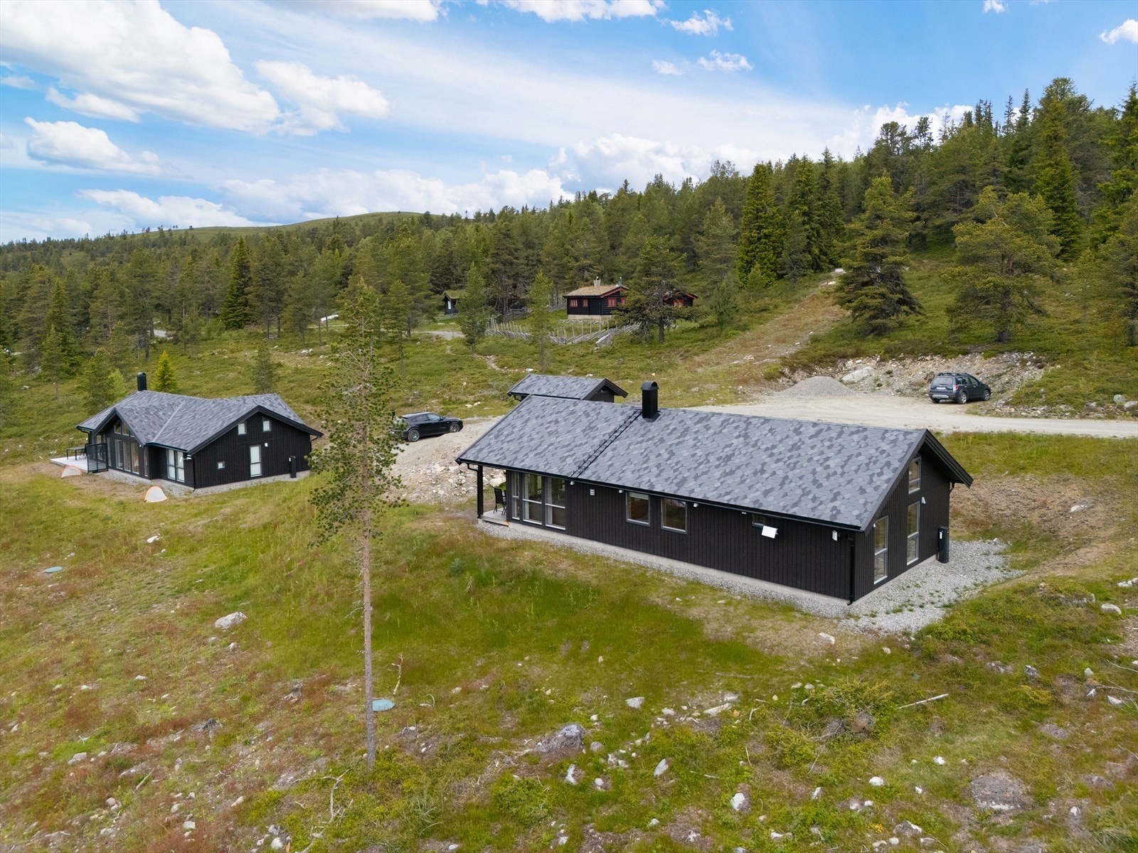 I hovedsak naturtomt med gress og lyng. Galleribilde