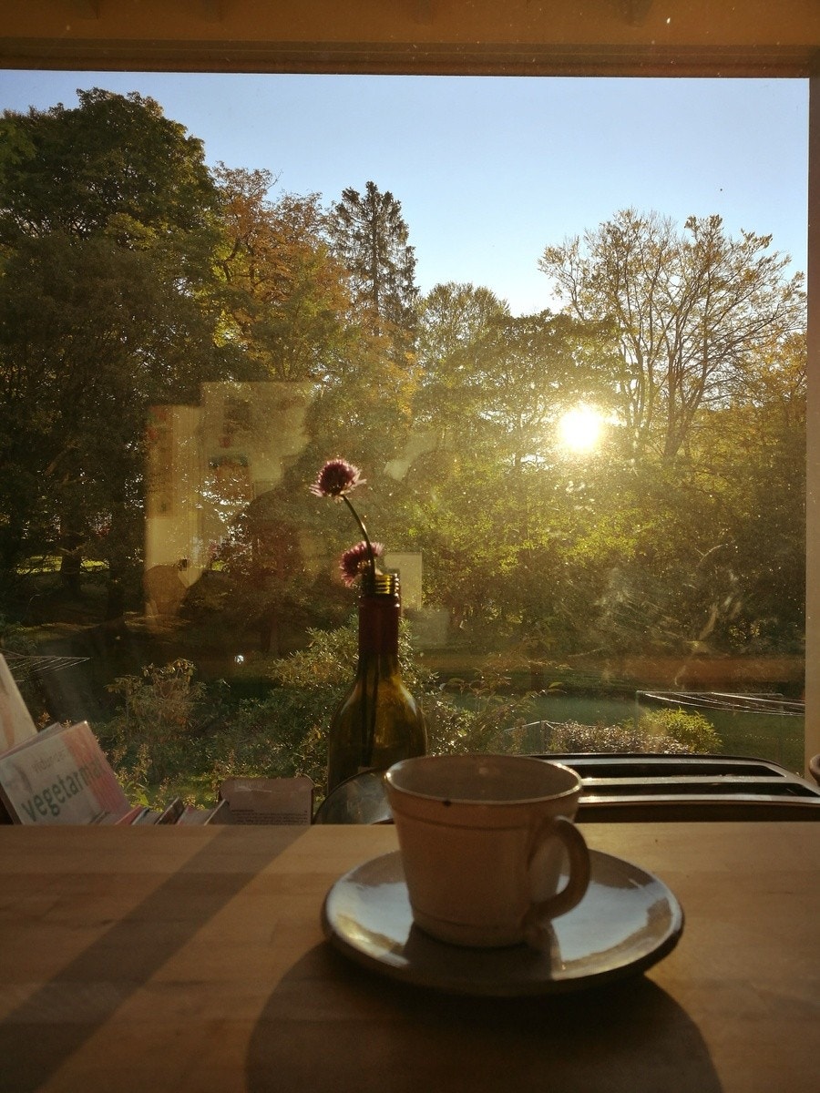 Utsikt til morgenkaffen Galleribilde