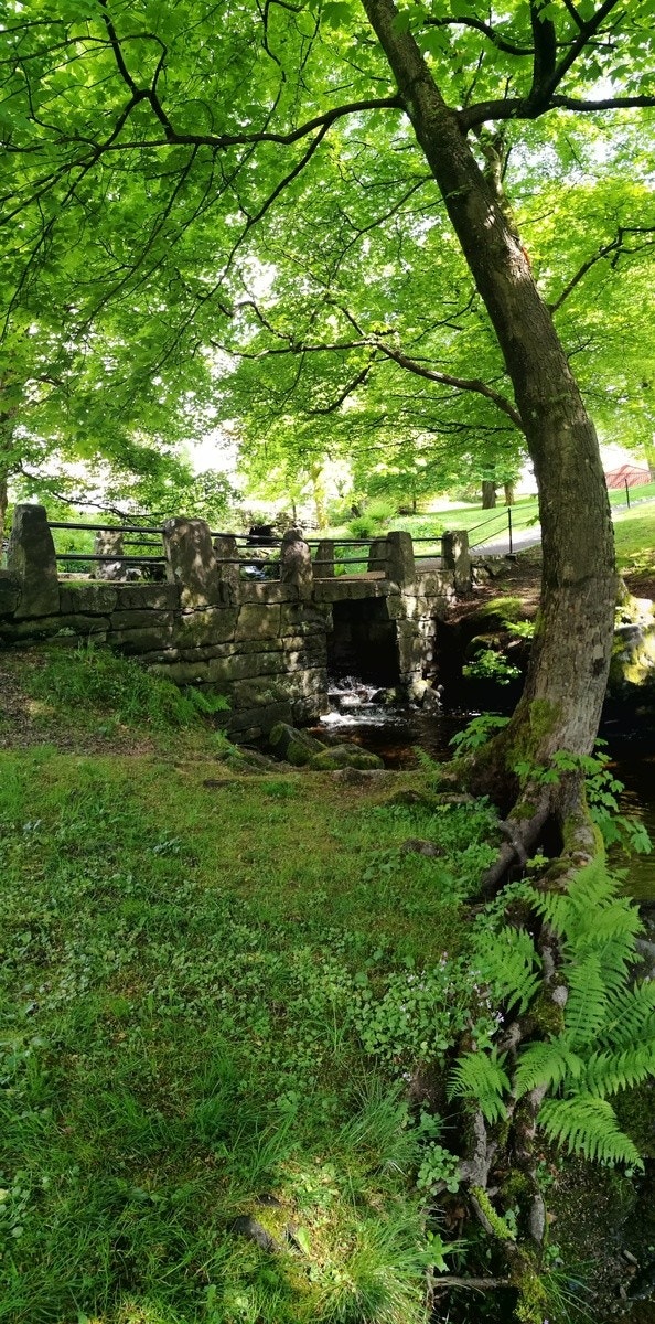 Nydelige omgivelser Galleribilde