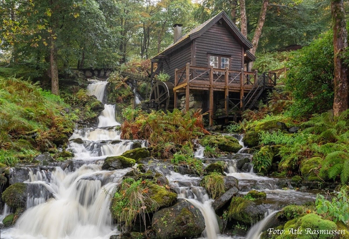 Den gamle Mølla i Christieparken Galleribilde