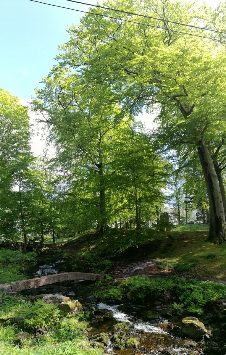 Grønne lunger midt i byen Galleribilde