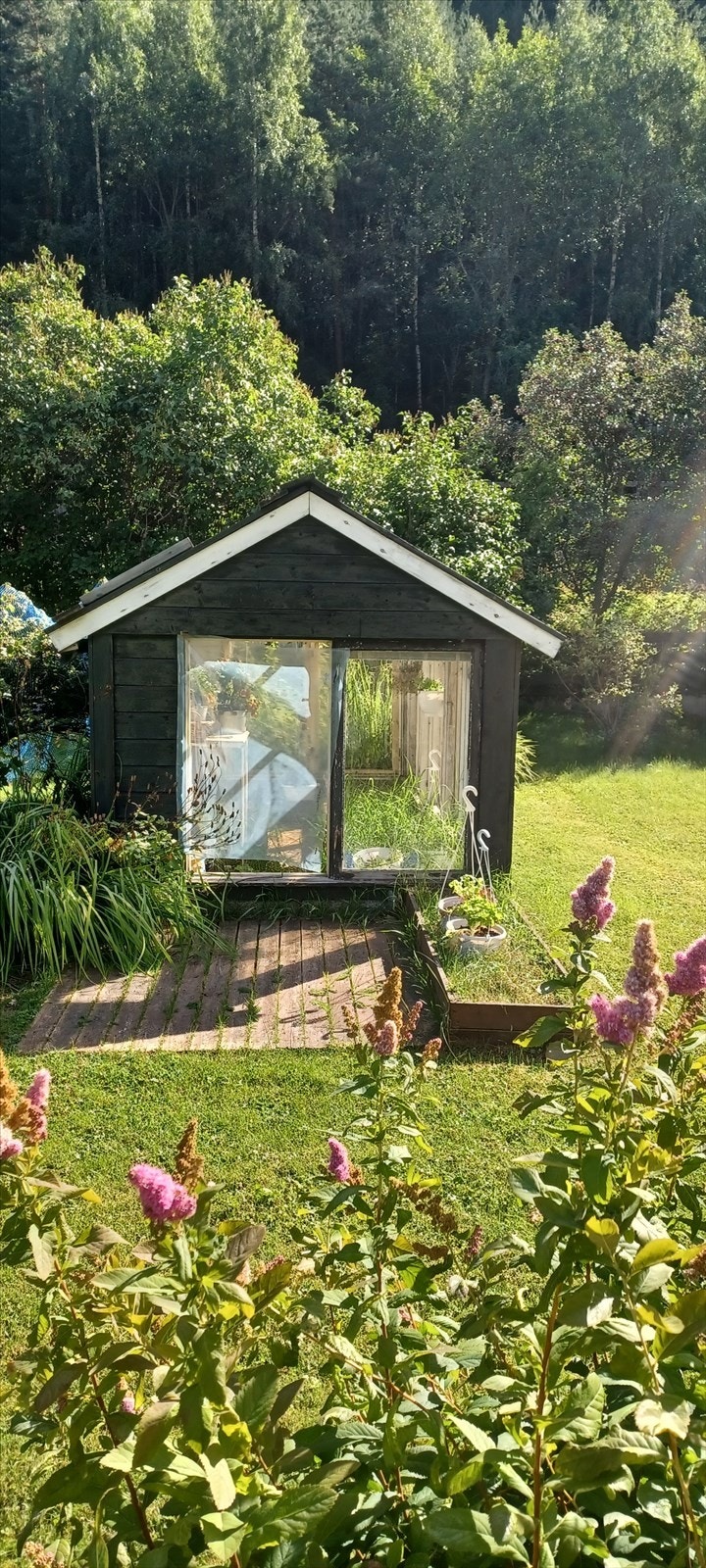 Drivhus. Galleribilde