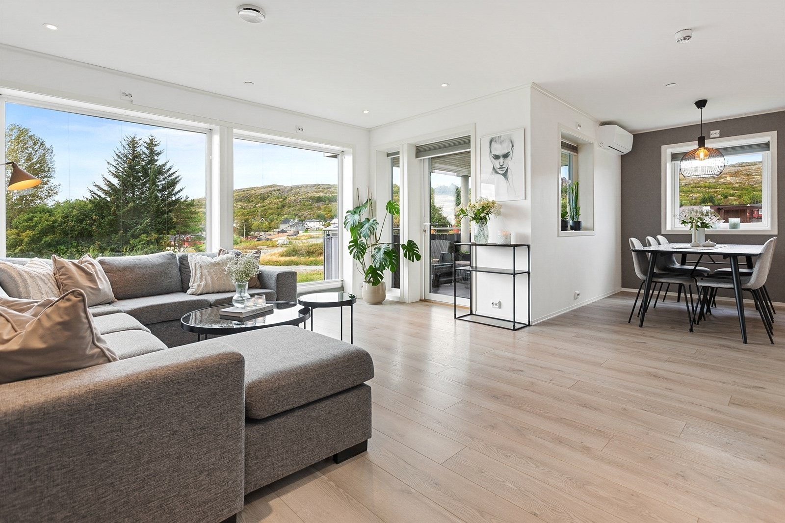 Stuen og kjøkkenet er på 36 kvm Galleribilde