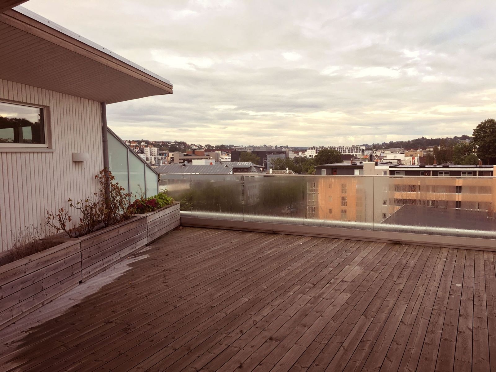 Felles takterrasse Galleribilde