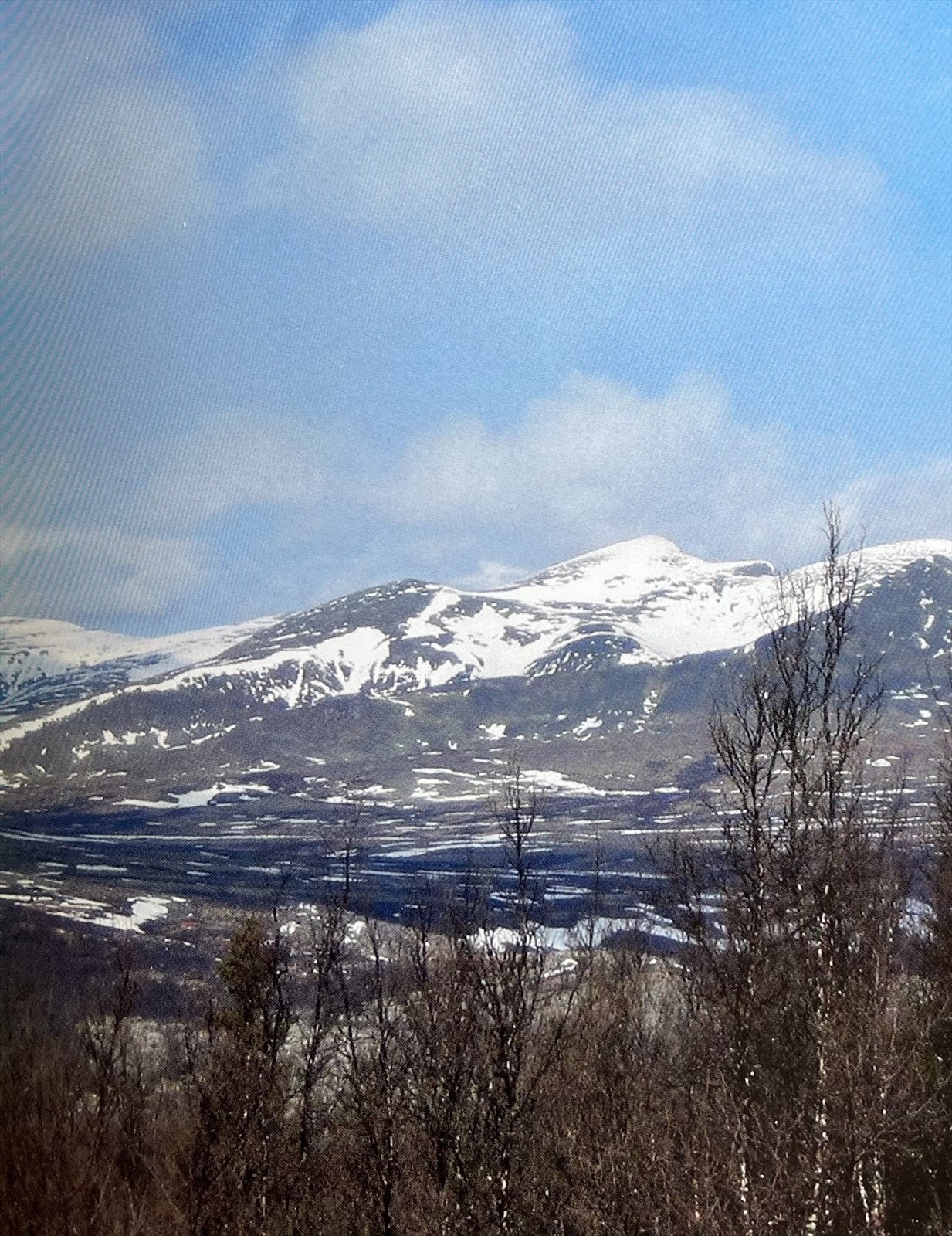 (Selgers bilde) Galleribilde