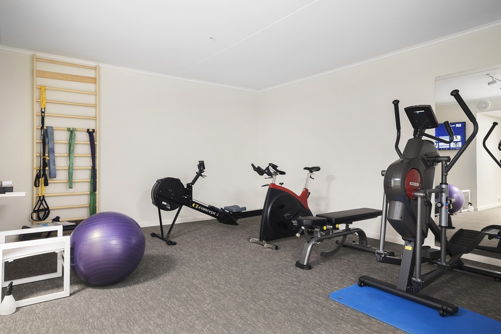 Velutstyrt treningsrom som er til felles disposisjon for sameiet. Galleribilde