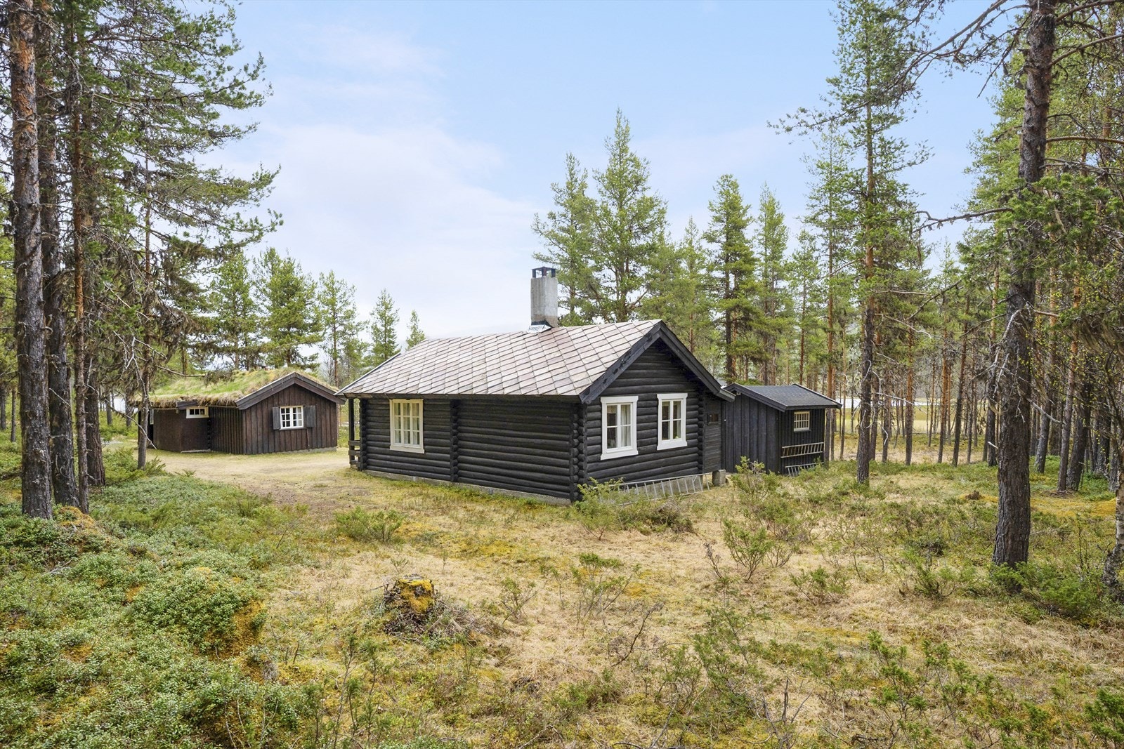 Naturtomten er til sammen ca 1,4 mål og ligger vendt mot øst. Galleribilde