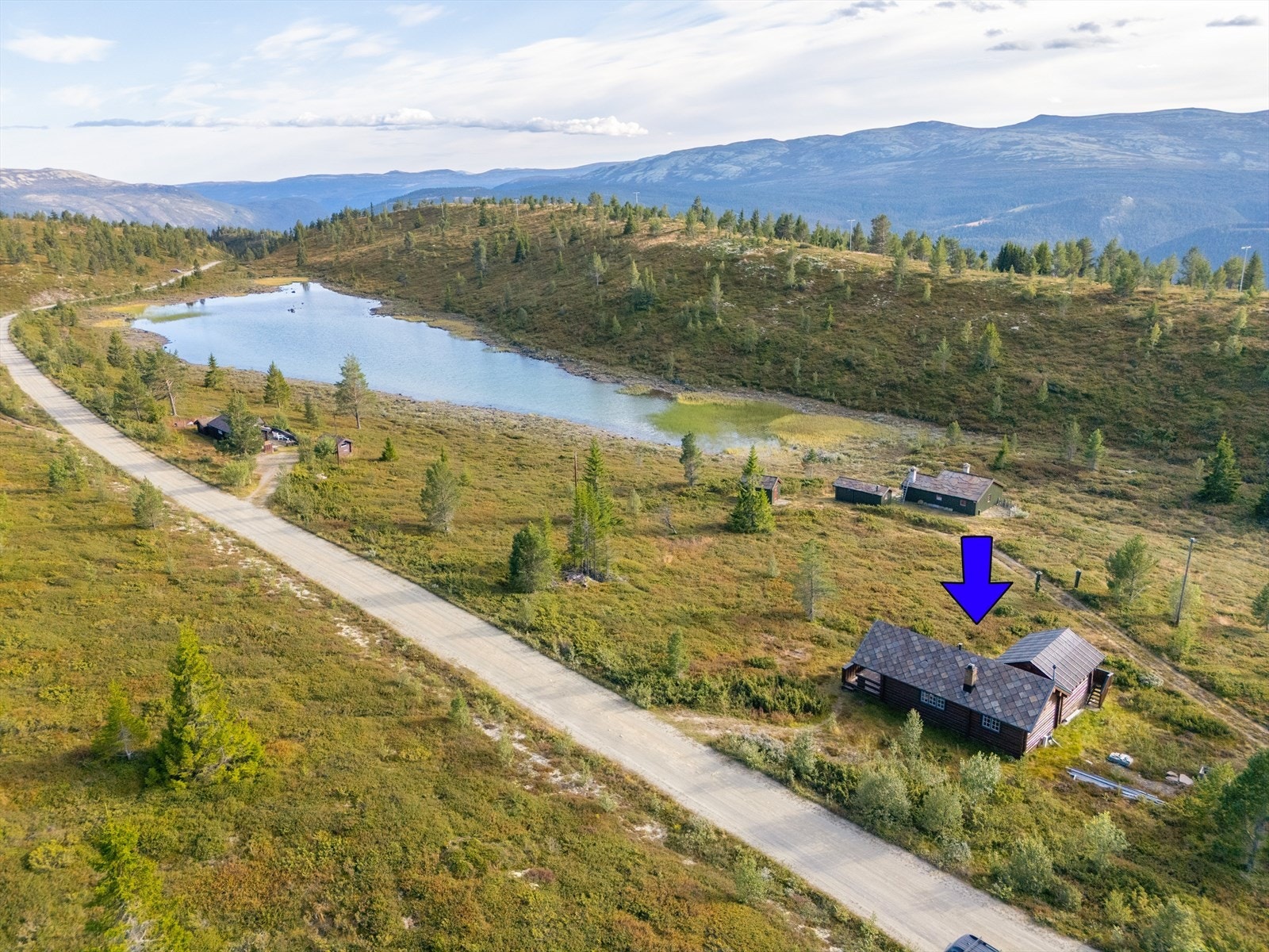 Velkommen til visning! Galleribilde