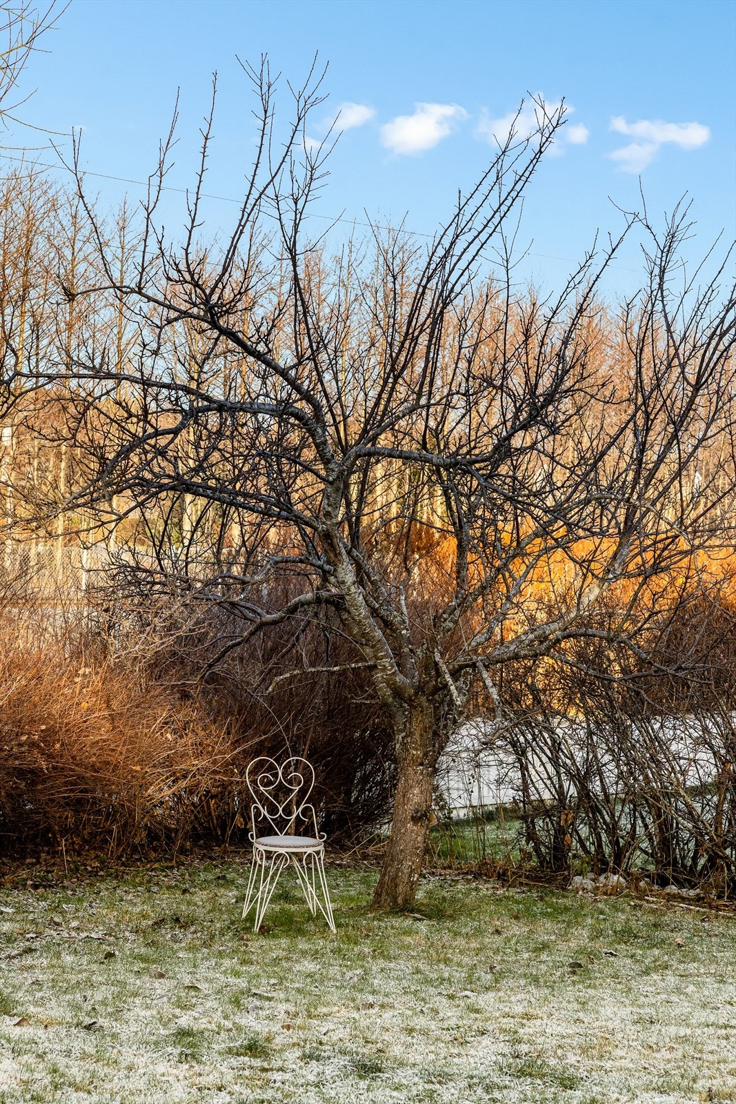 Detalj..... Galleribilde