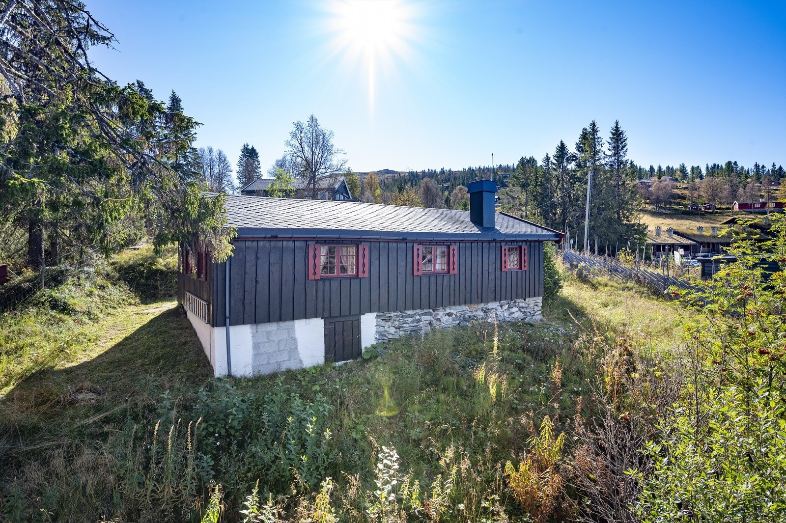 Det er god solgang på eiendommen.. Galleribilde