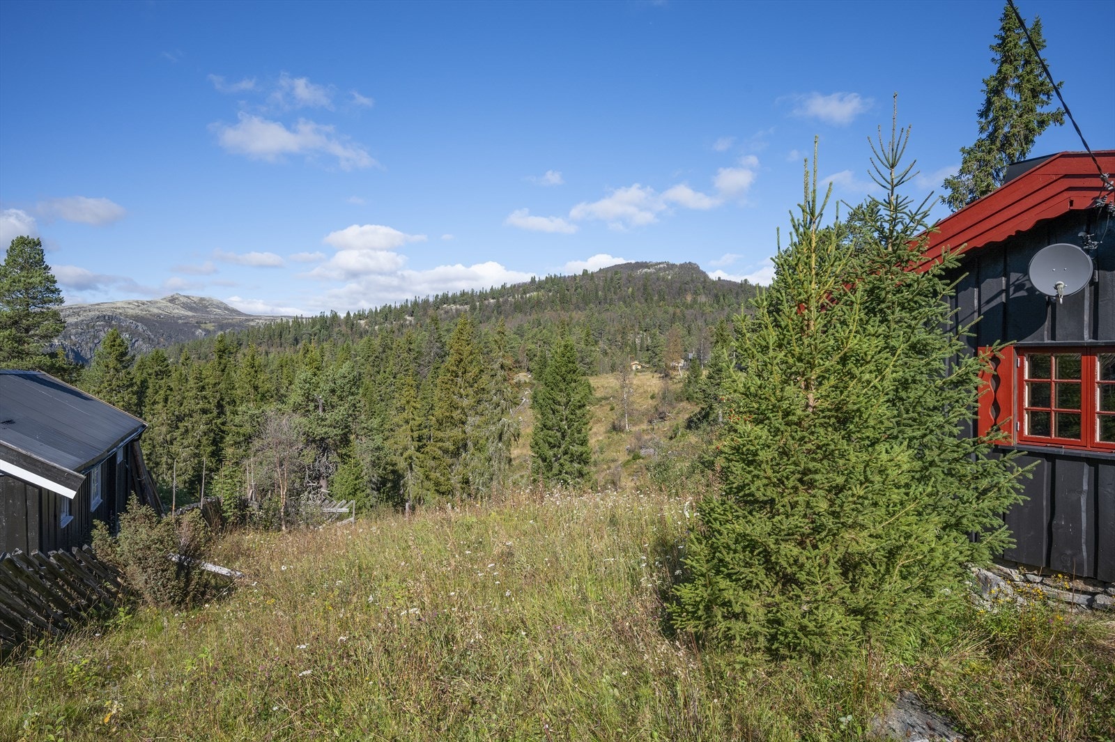 Flott utsikt. Galleribilde