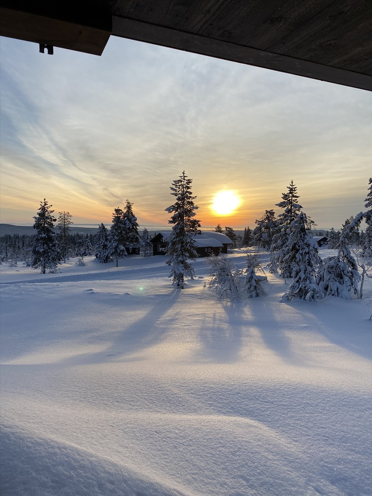 Selgers egne bilder Galleribilde