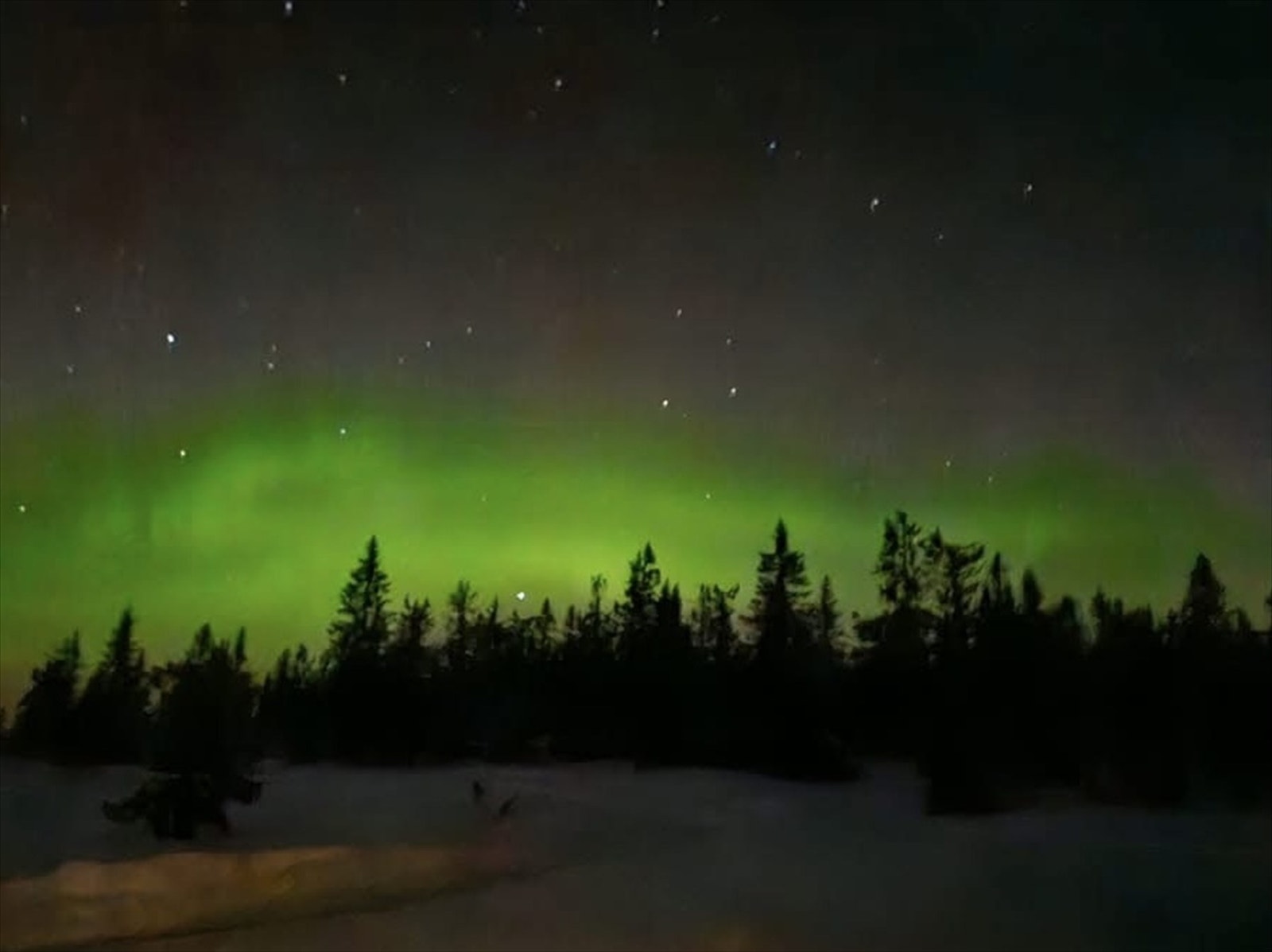 Selgers egne bilder Galleribilde