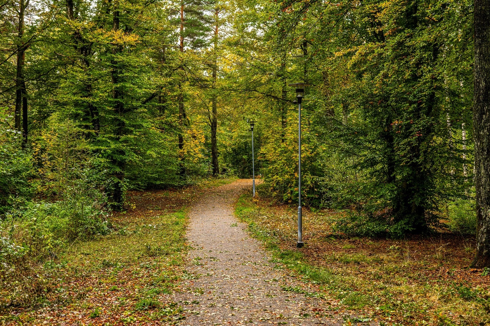 Nærområde - turmuligheter Galleribilde