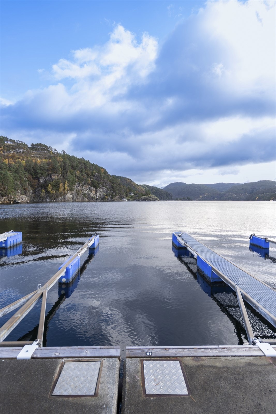 TIM02984 Galleribilde