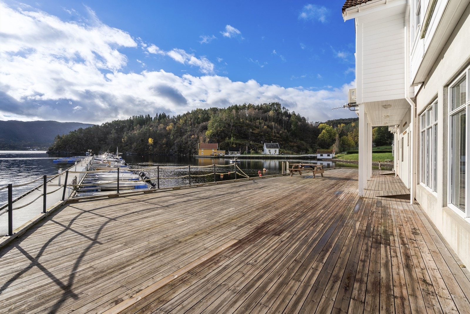 TIM02991 Galleribilde