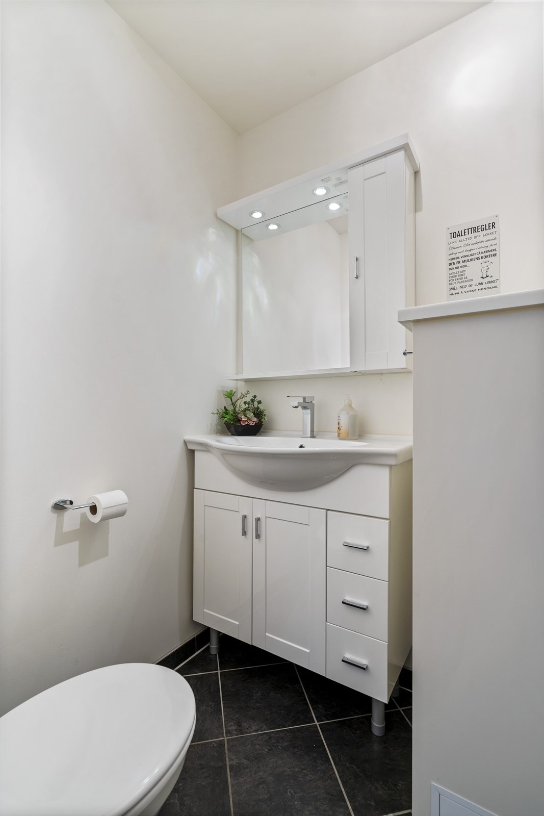 TIM02916 Galleribilde