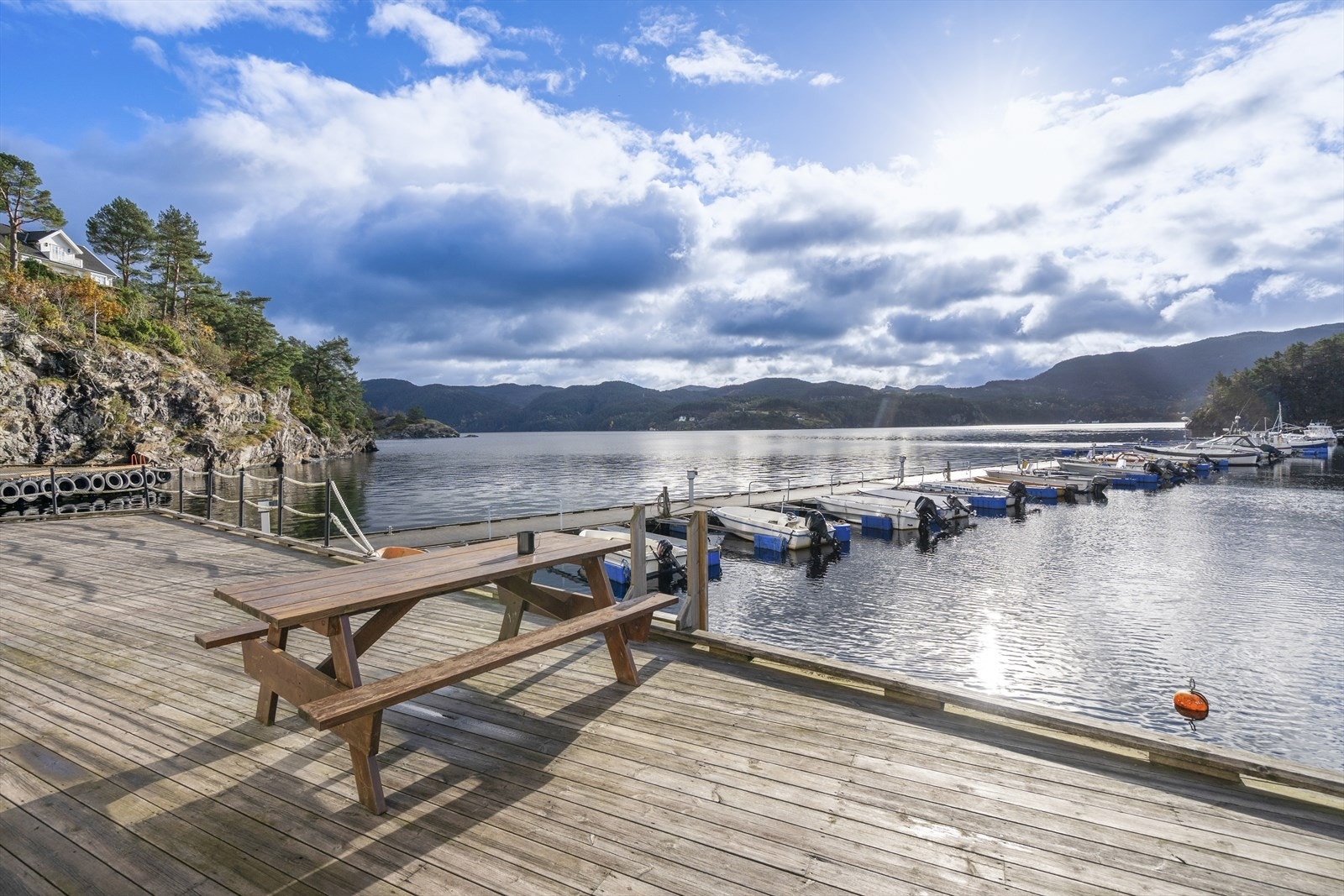 TIM02996 Galleribilde