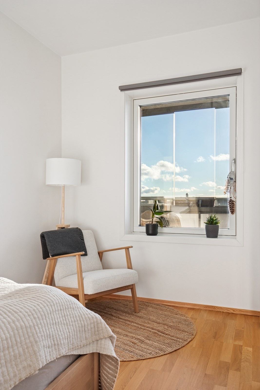 Store vindusflater med sørvendt- vending. Galleribilde