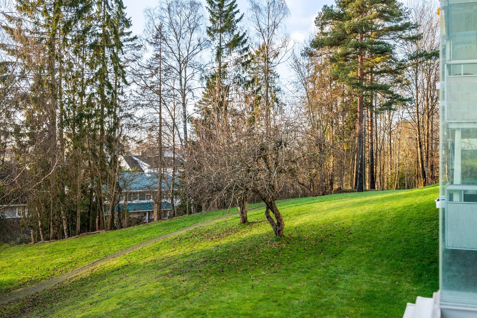 Hyggelig og grønt utsyn fra balkongen Galleribilde