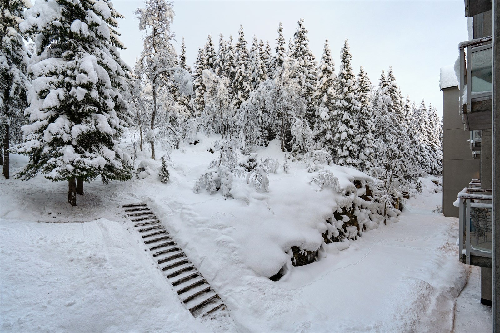Bak boligbygget er det trapp opp til skog med turløyper. Galleribilde