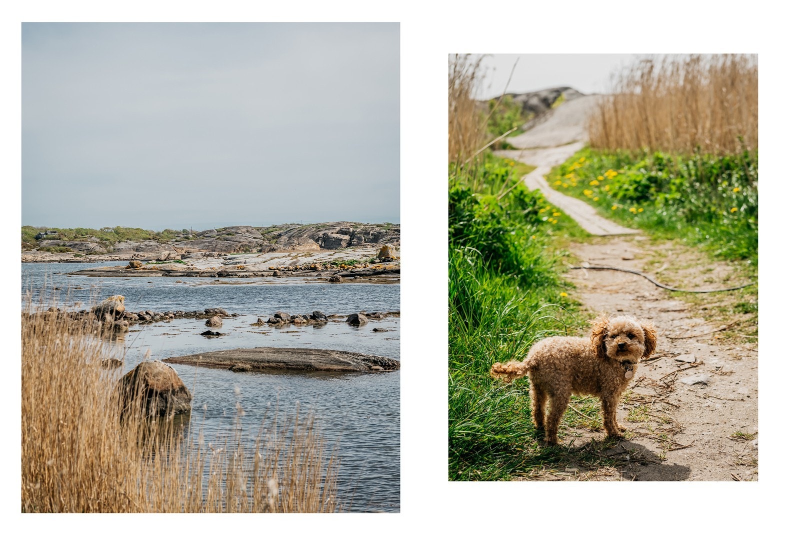 Fine omgivelser og turmuligheter i nærområdet med bl.a. kyststien som går fra Nevlunghavn til Stavern Galleribilde